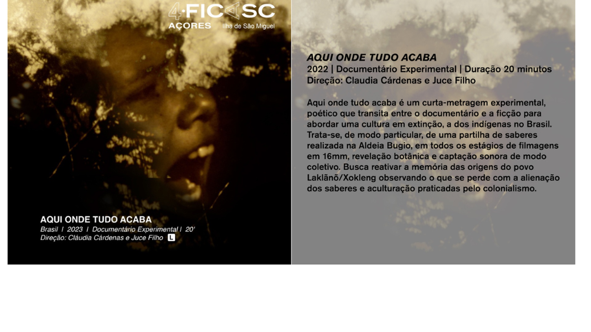 imagem-slider